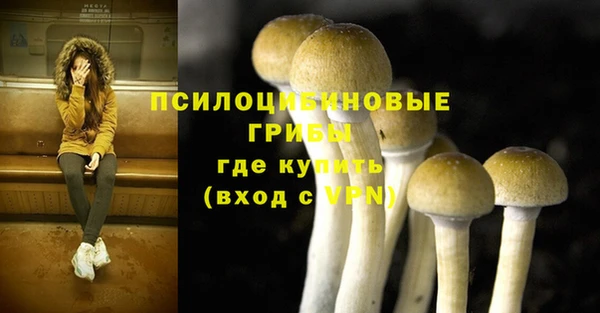 mdpv Струнино