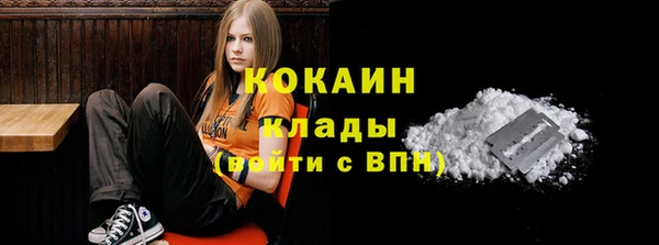 СК Ивангород